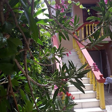 Apartman Tatjana ซูโตมอเร ภายนอก รูปภาพ